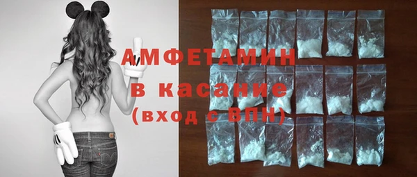 твердый Арсеньев