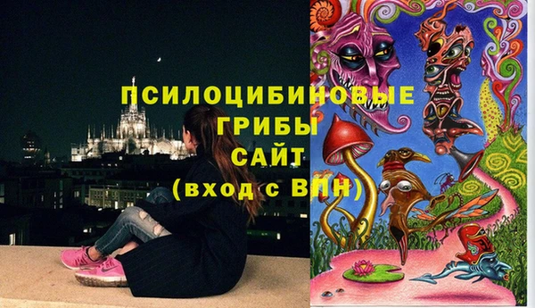 твердый Арсеньев