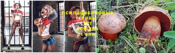 гашиш Аркадак