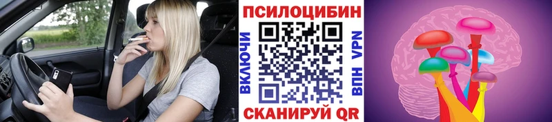 Галлюциногенные грибы прущие грибы  Купить закладки  Сурск 